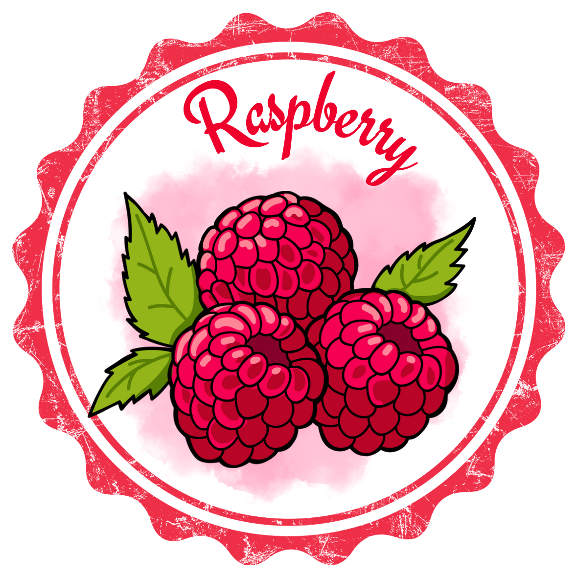 RTS Raspberry Hand Sanitizer Spray