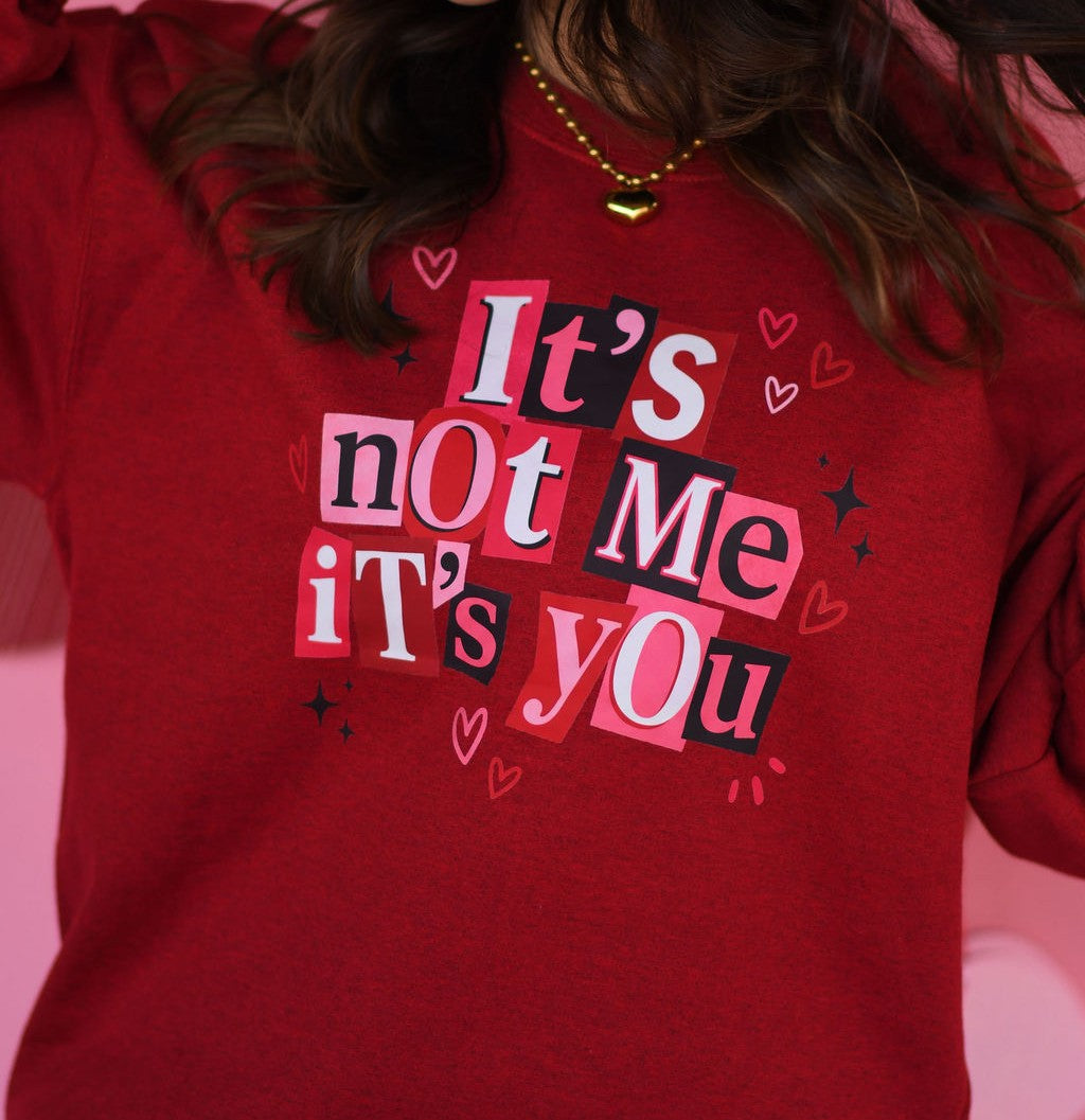 It's Not Me It's You Sweatshirt